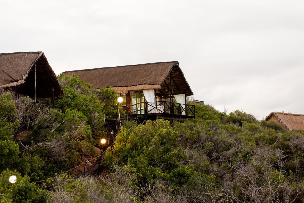 Paradise Dunes Tofo Exterior photo